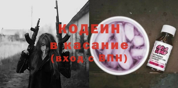 сатива Заводоуковск