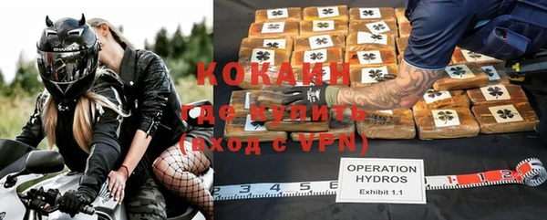 сатива Заводоуковск