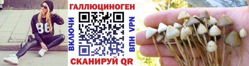 Псилоцибиновые грибы прущие грибы Радужный