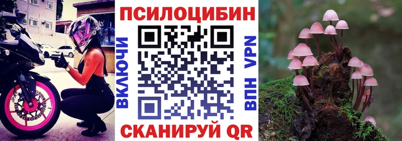 Купить закладки  Радужный  Псилоцибиновые грибы GOLDEN TEACHER 